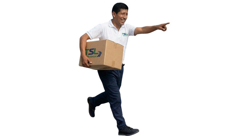 Modelo TSL Modelo TSL